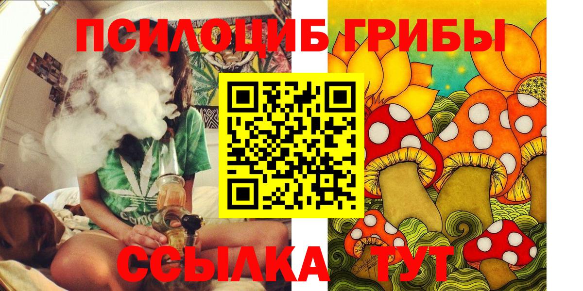Галлюциногенные грибы Psilocybine cubensis Магадан