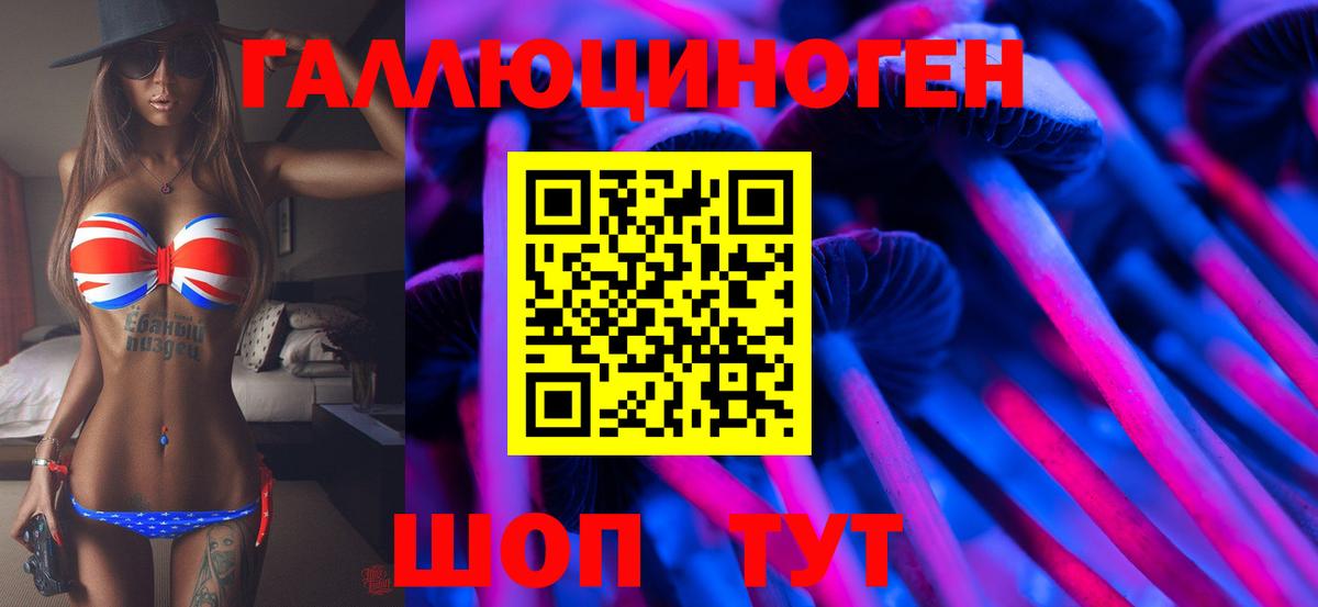 как найти   Вход с VPN  Псилоцибиновые грибы MAGIC MUSHROOMS  Магадан  Псилоцибиновые грибы MAGIC MUSHROOMS 